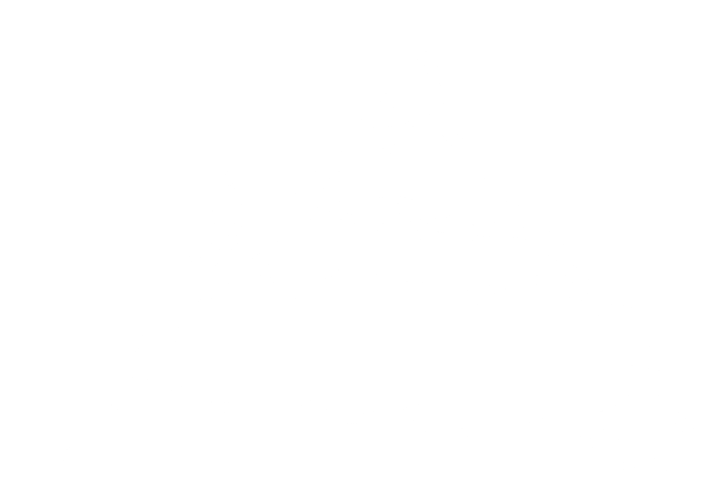 Navigate ROI and TCO to Escape the Value Fog and Outshine Competitors